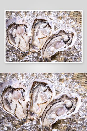 海鲜生蚝蛤蜊图片