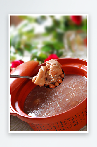 萝卜酥肉汤米汤茶树菇
