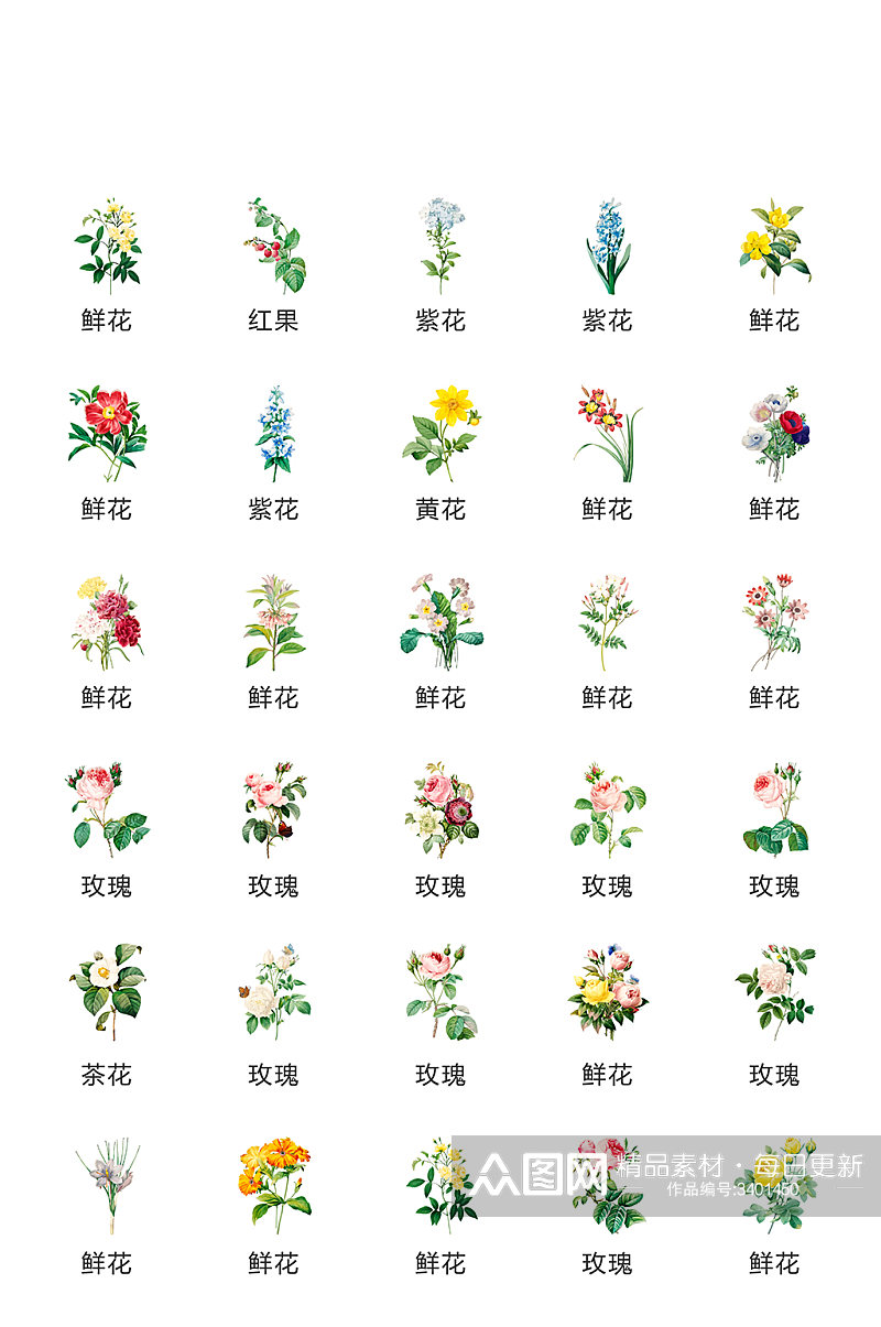 花卉实用广告app图标素材