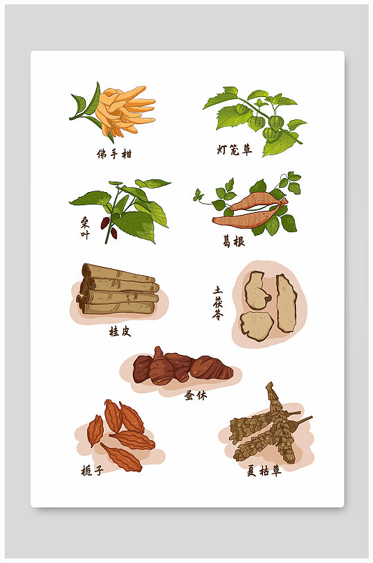 手绘卡通中草药材元素插画