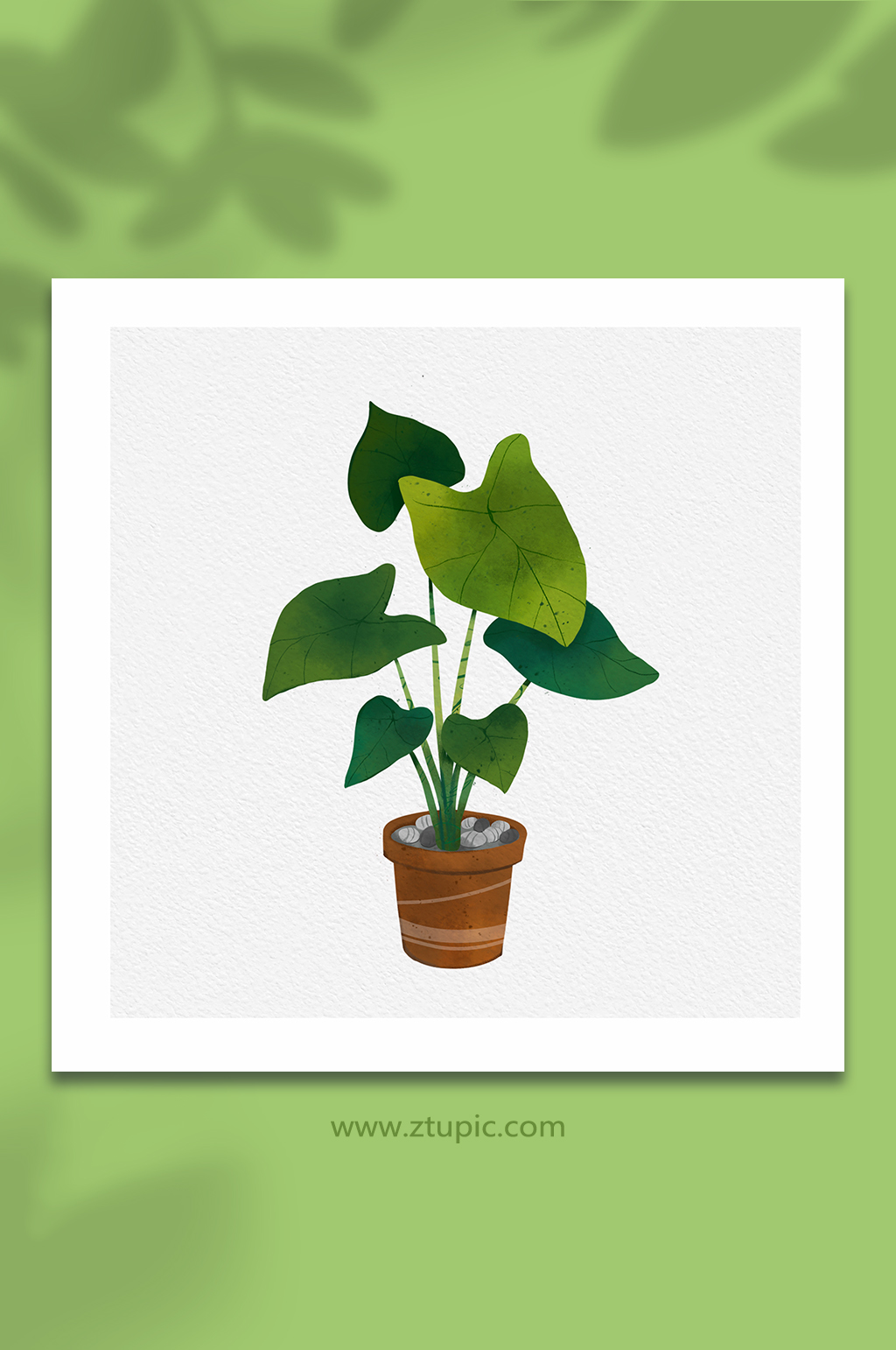 手绘绿色植物盆栽元素插画素材