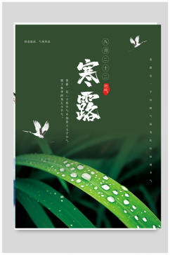 绿色简约传统节日二十四节气寒露宣传海报