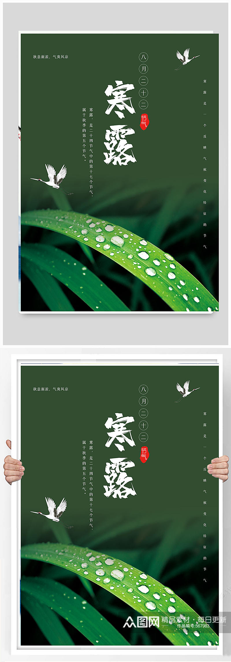 绿色简约传统节日二十四节气寒露宣传海报素材