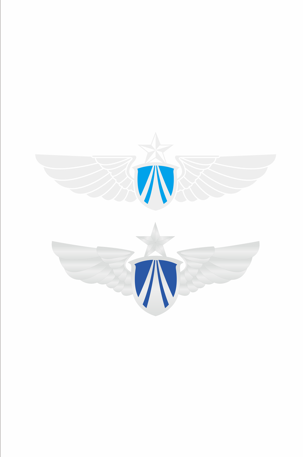 解放军空军胸标图片