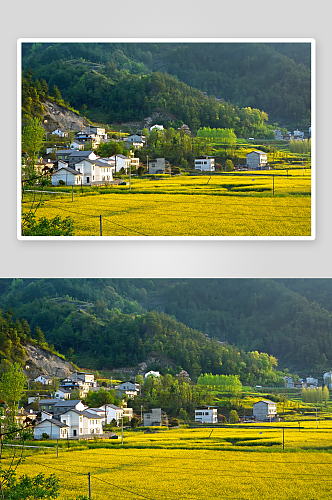 高清中国乡村田园摄影图