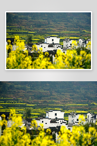 中国乡村田园摄影图