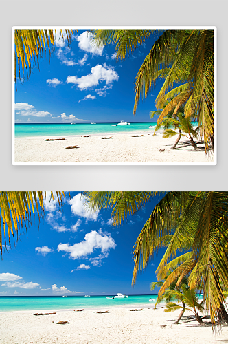 大海海滩沙滩椰树风景摄影图