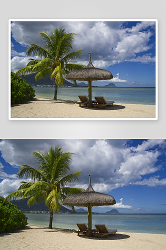 大海海滩沙滩椰树风景摄影图