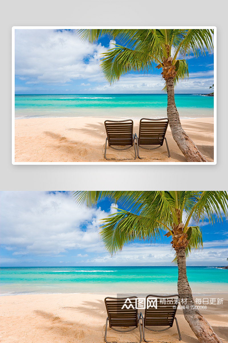 高清海滩沙滩椰树风景摄影图素材
