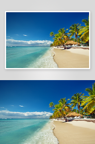 高清海滩沙滩椰树风景摄影图