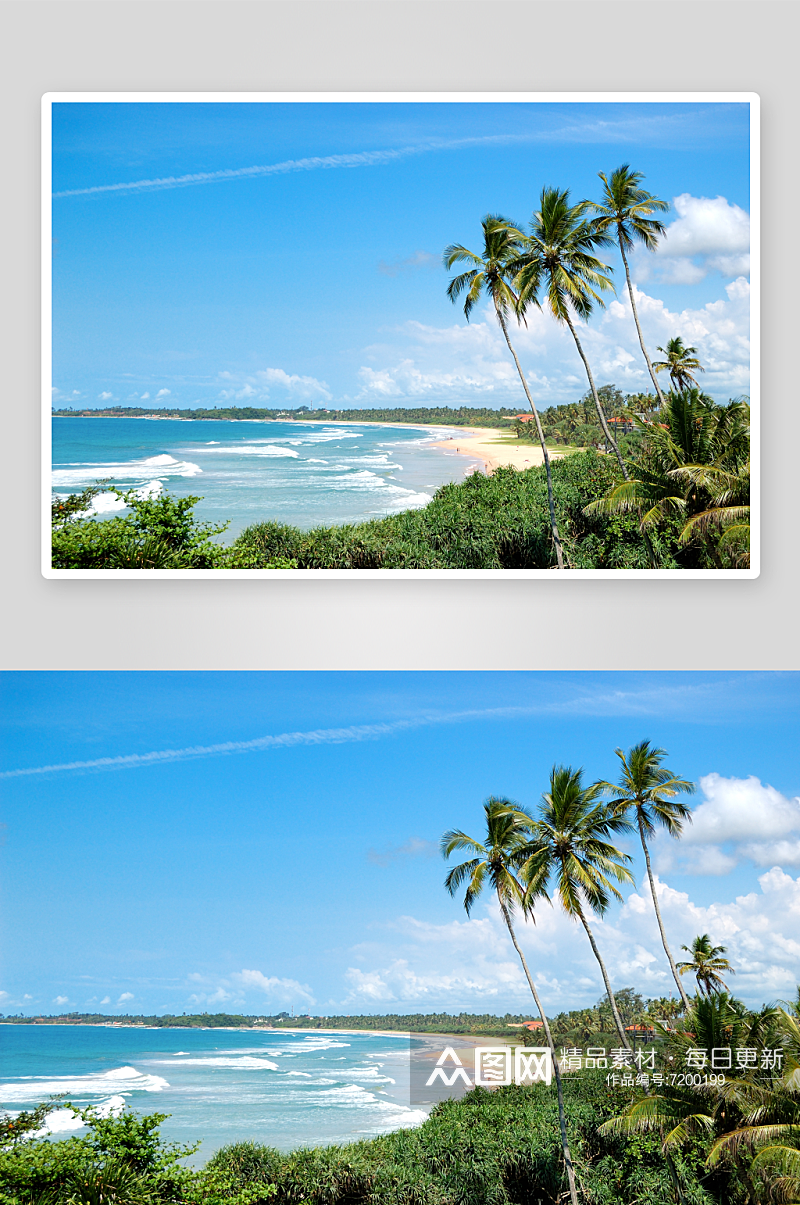 海滩沙滩椰树风景摄影图素材