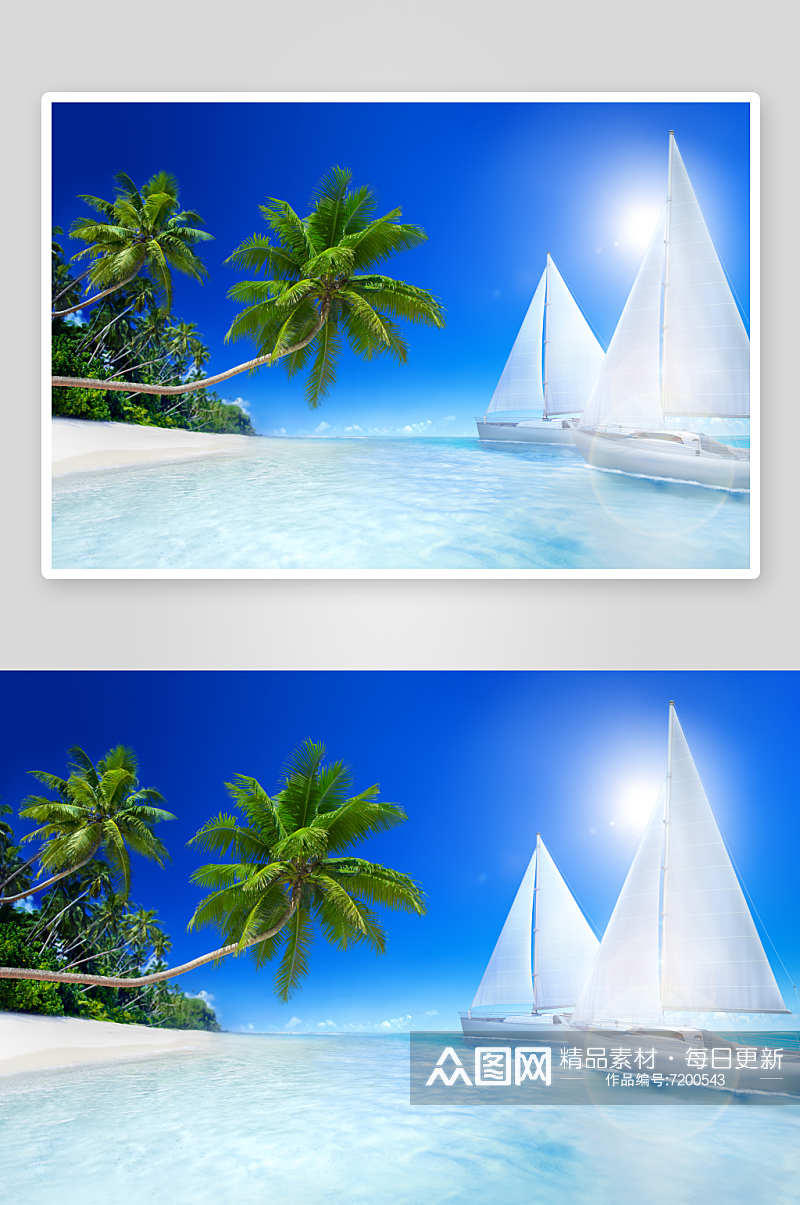 高清海滩沙滩椰树风景摄影图素材