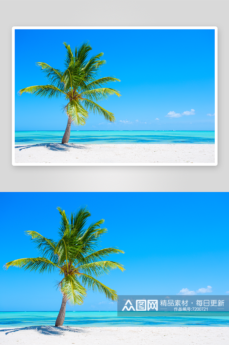 海滩沙滩椰树风景摄影图素材