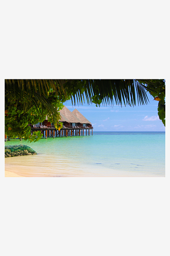 海滩沙滩椰树风景摄影图