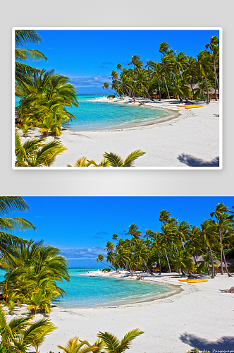 海滩沙滩椰树风景摄影图