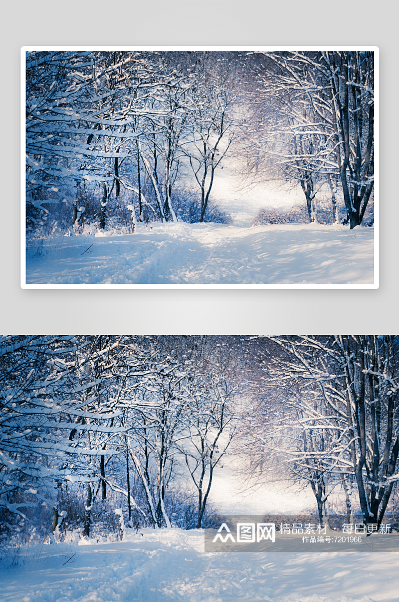 冬天白雪风景摄影图素材