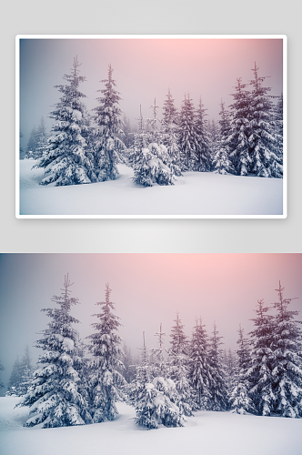 创意冬天白雪风景摄影图