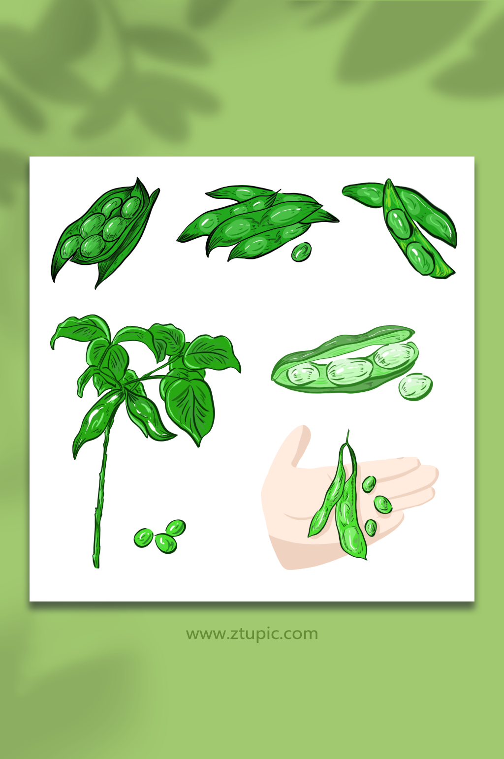 卡通毛豆蔬菜元素插画素材