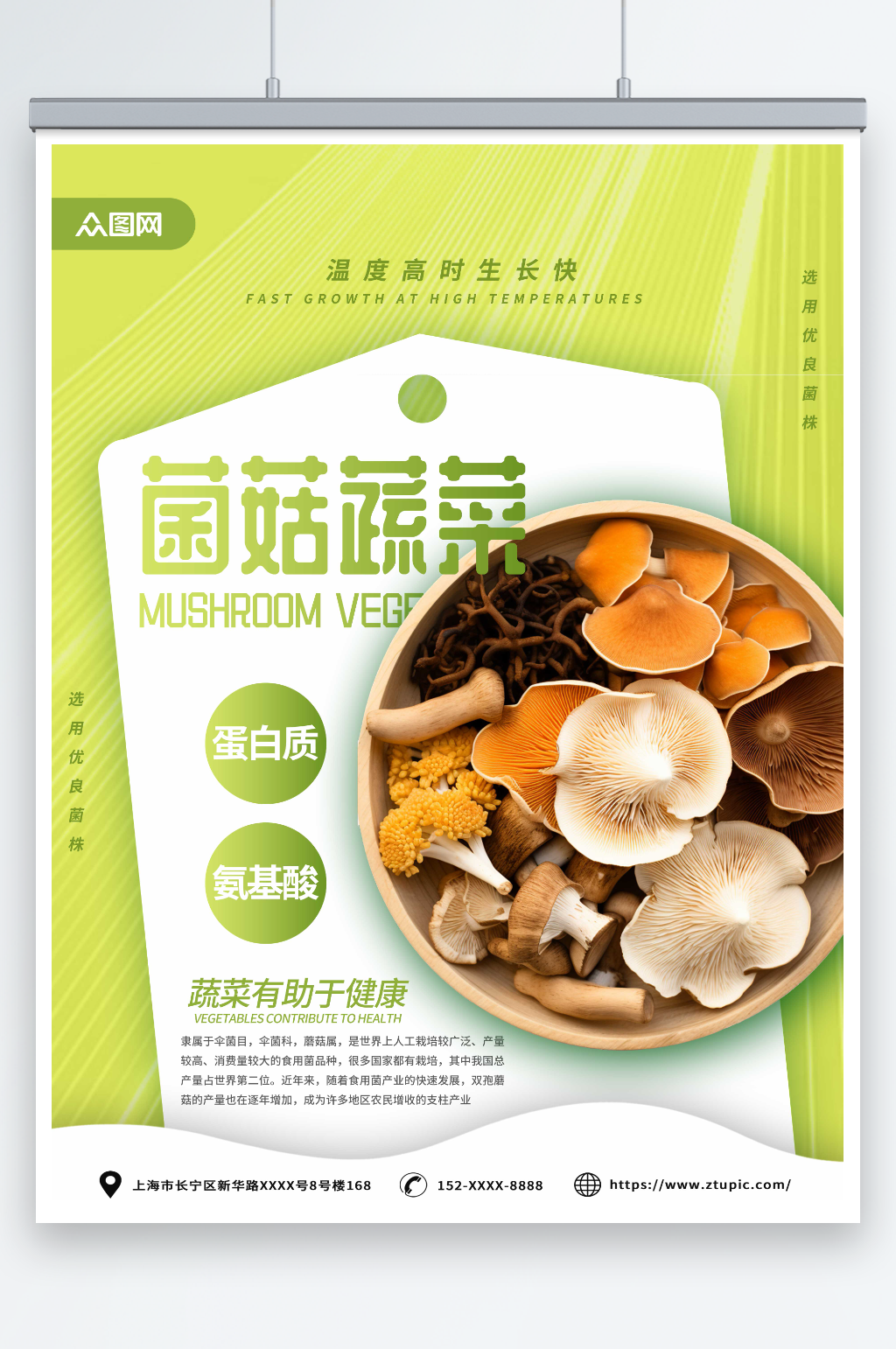 绿色蘑菇菌菇蔬菜海报素材