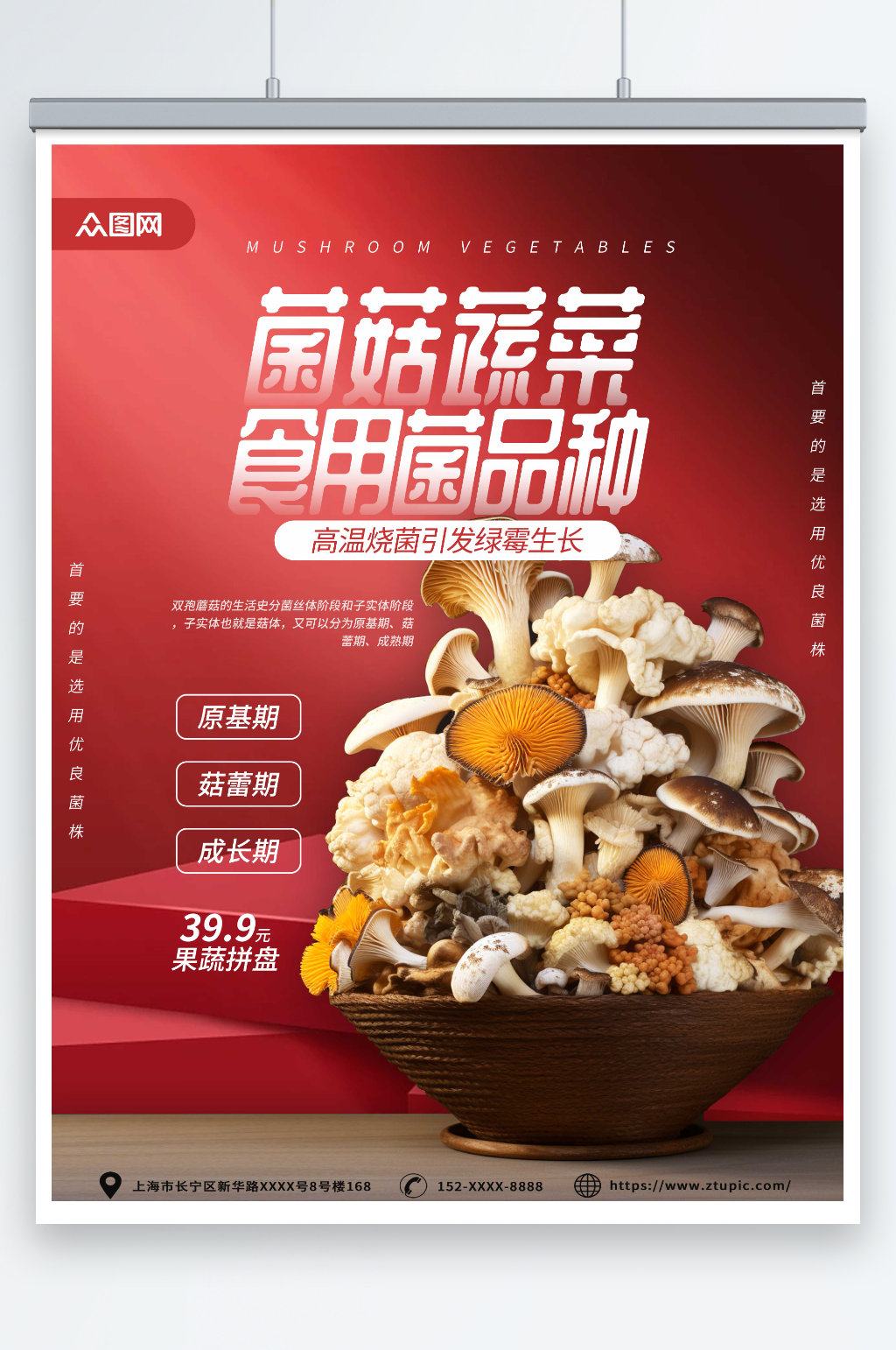 红色蘑菇菌菇蔬菜海报素材