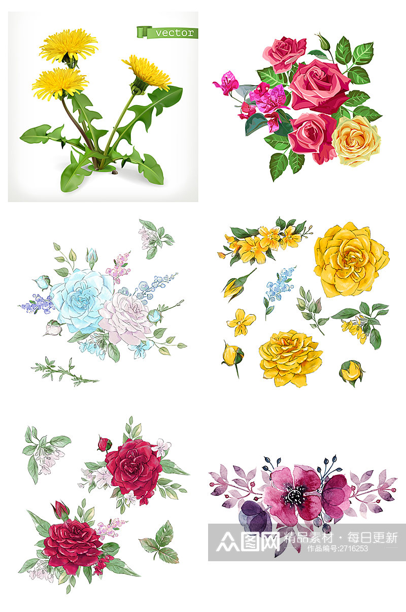 手绘水彩花卉植物树叶花朵素材