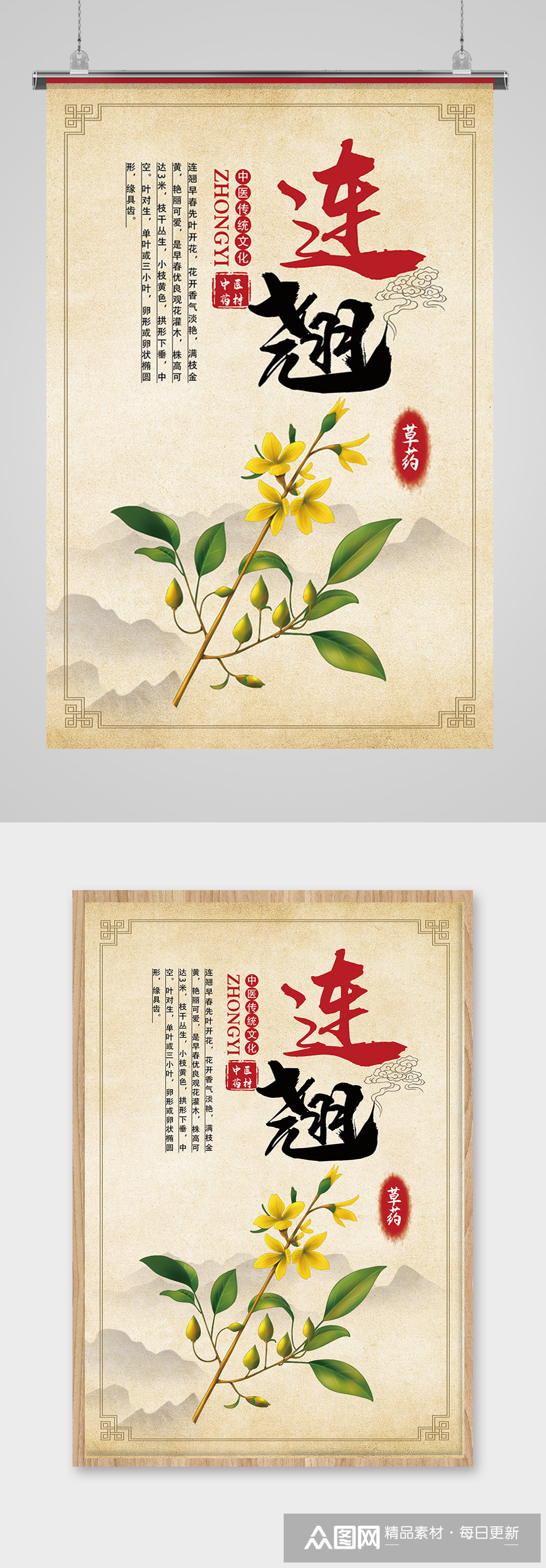 中草药连翘中医海报