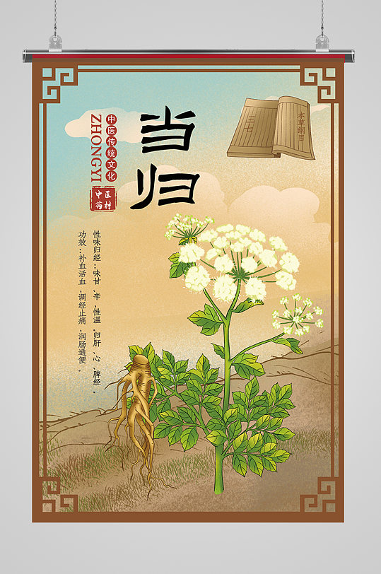 中草药当归介绍海报