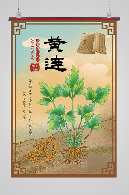 中草药黄连介绍海报