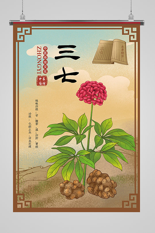 中草药三七介绍海报