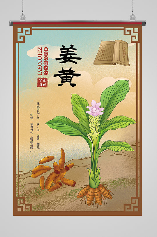 中草药姜黄图谱海报