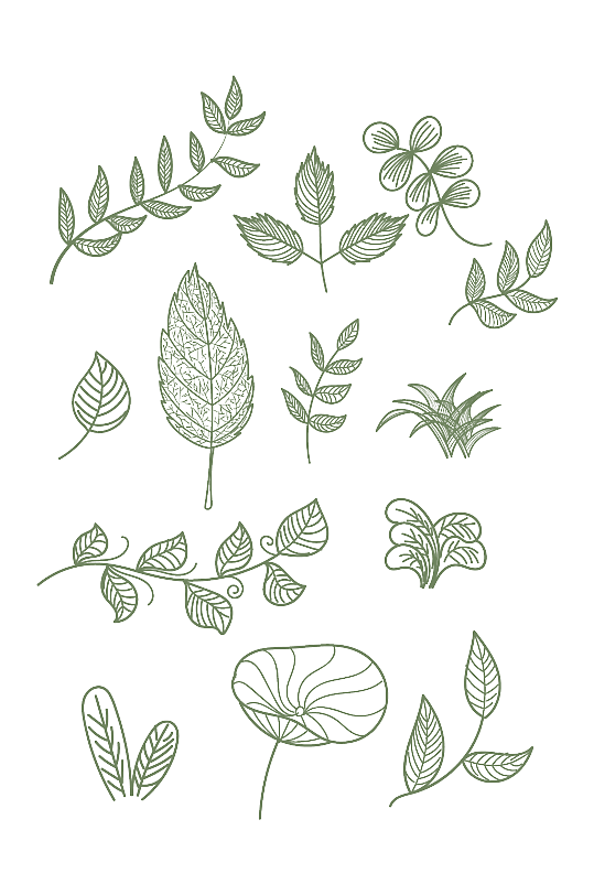 手绘叶子植物线稿装饰图案