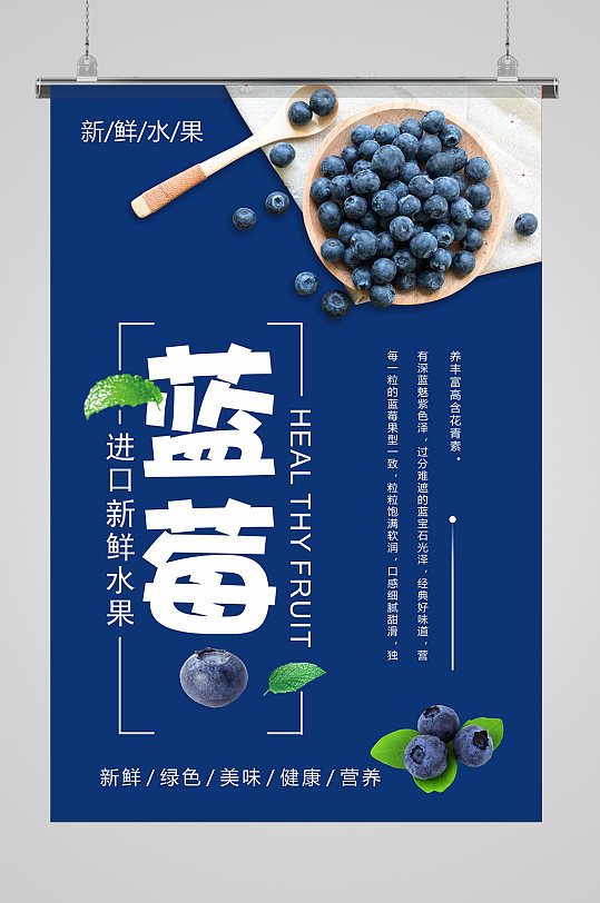 蓝色大气蓝莓海报
