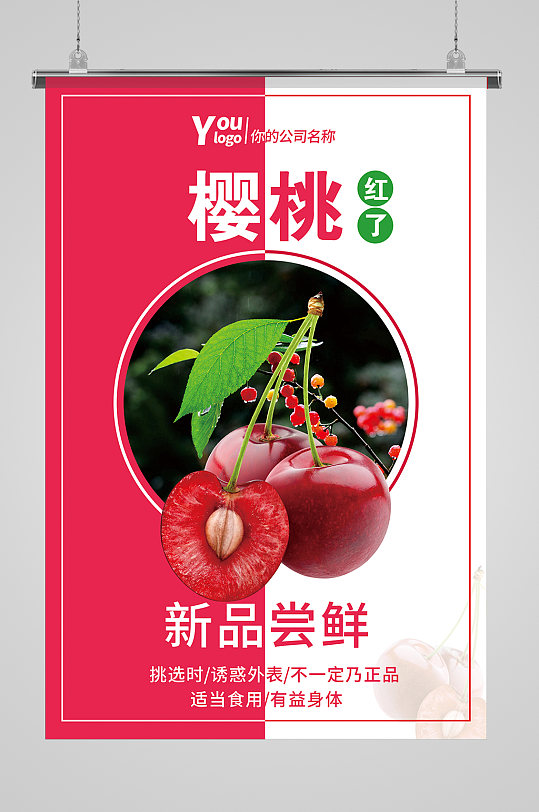 樱桃采摘新鲜樱桃