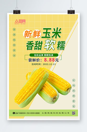黄色清新玉米促销海报