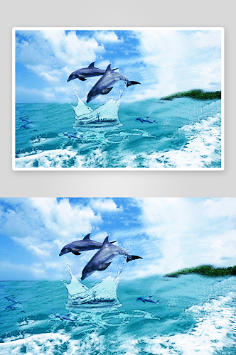 海豚戏水美观大气