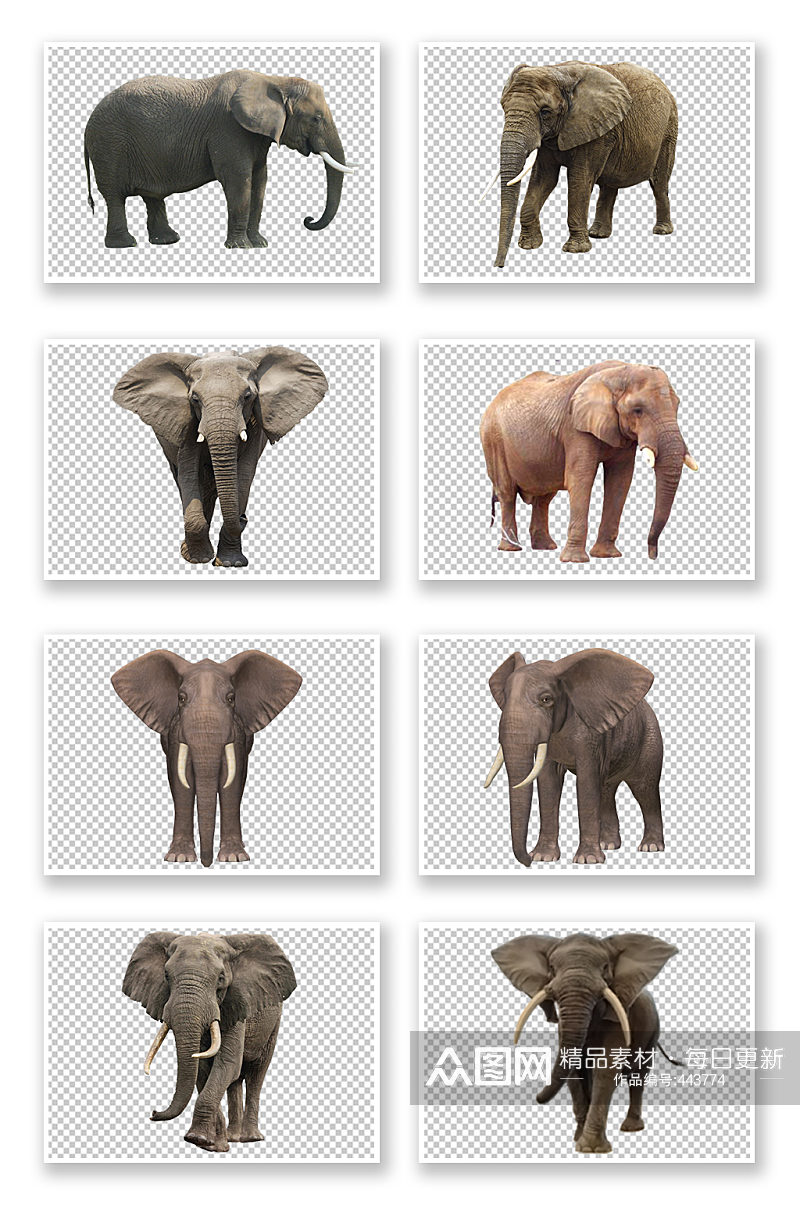 非洲大象免扣素材素材