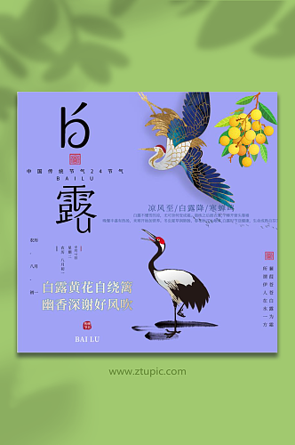 白露节气字体设计素材