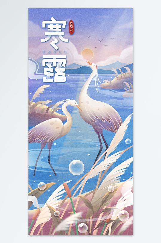 插画风白鹤寒露海报
