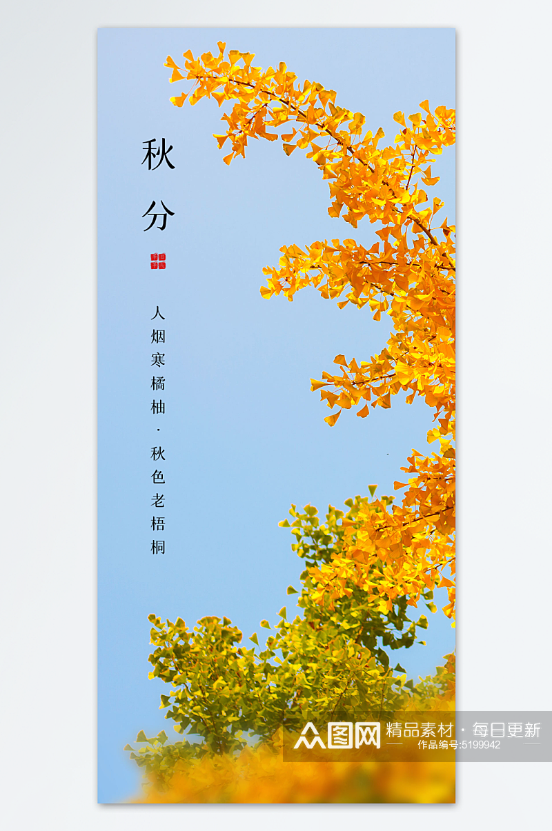 黄色枫叶秋分海报素材