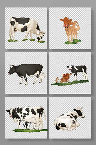 农场牧业畜牧写实奶牛动物元素插画