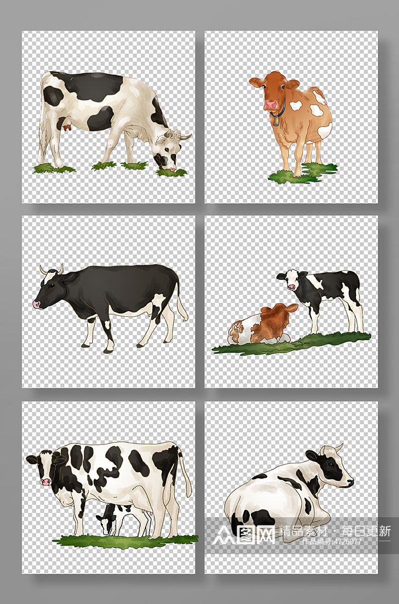 农场牧业畜牧写实奶牛动物元素插画素材