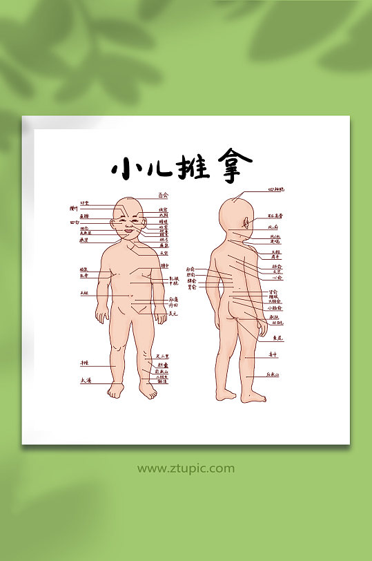 中医医学示意人体知识小儿推拿经络穴位图插画