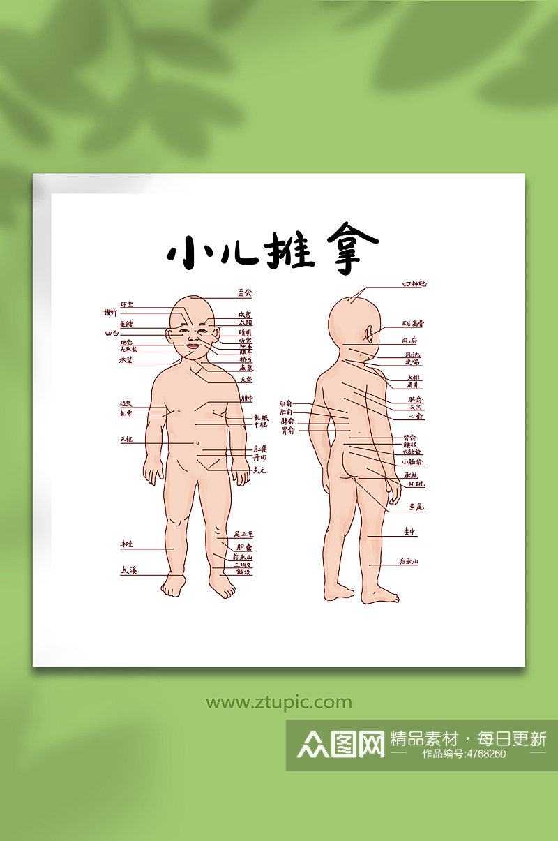 中医医学示意人体知识小儿推拿经络穴位图插画素材