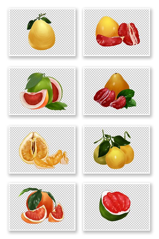 丰收果实甜蜜寓意冬季柚子水果元素插画