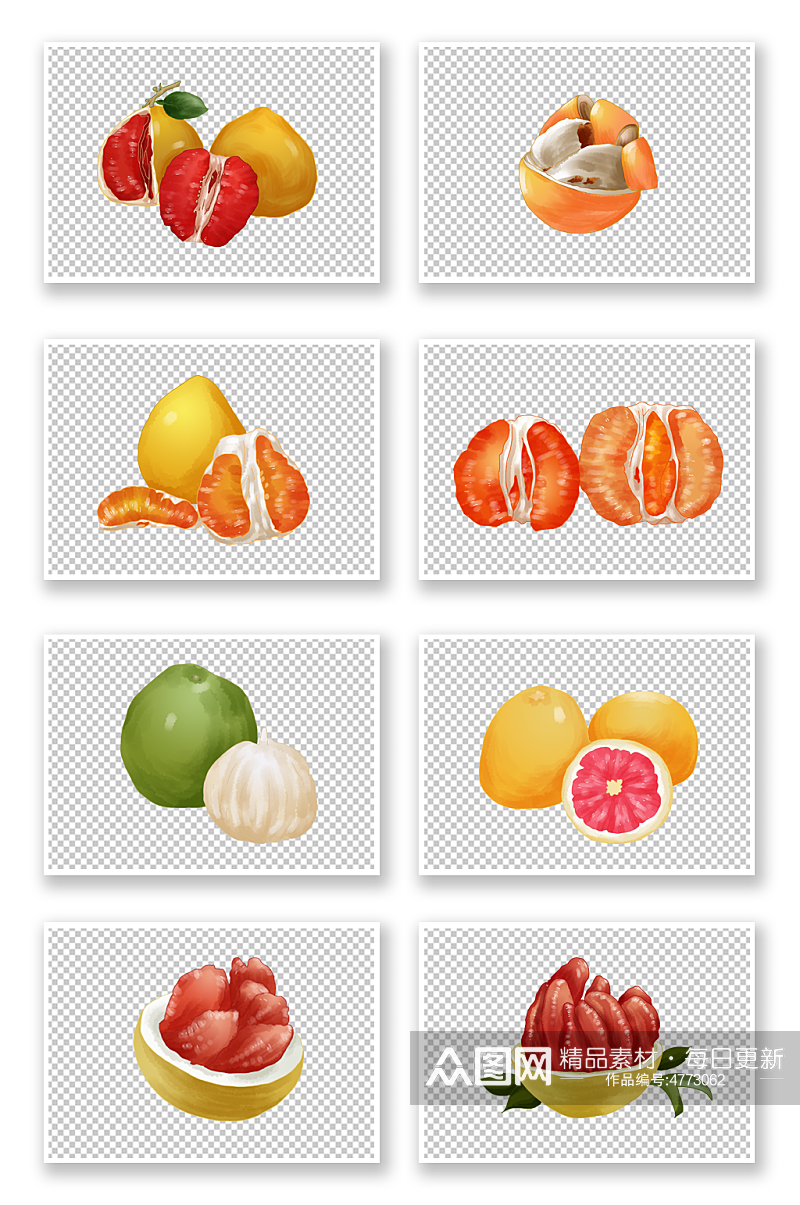 手绘红心柚甜蜜热带冬季柚子水果元素插画素材