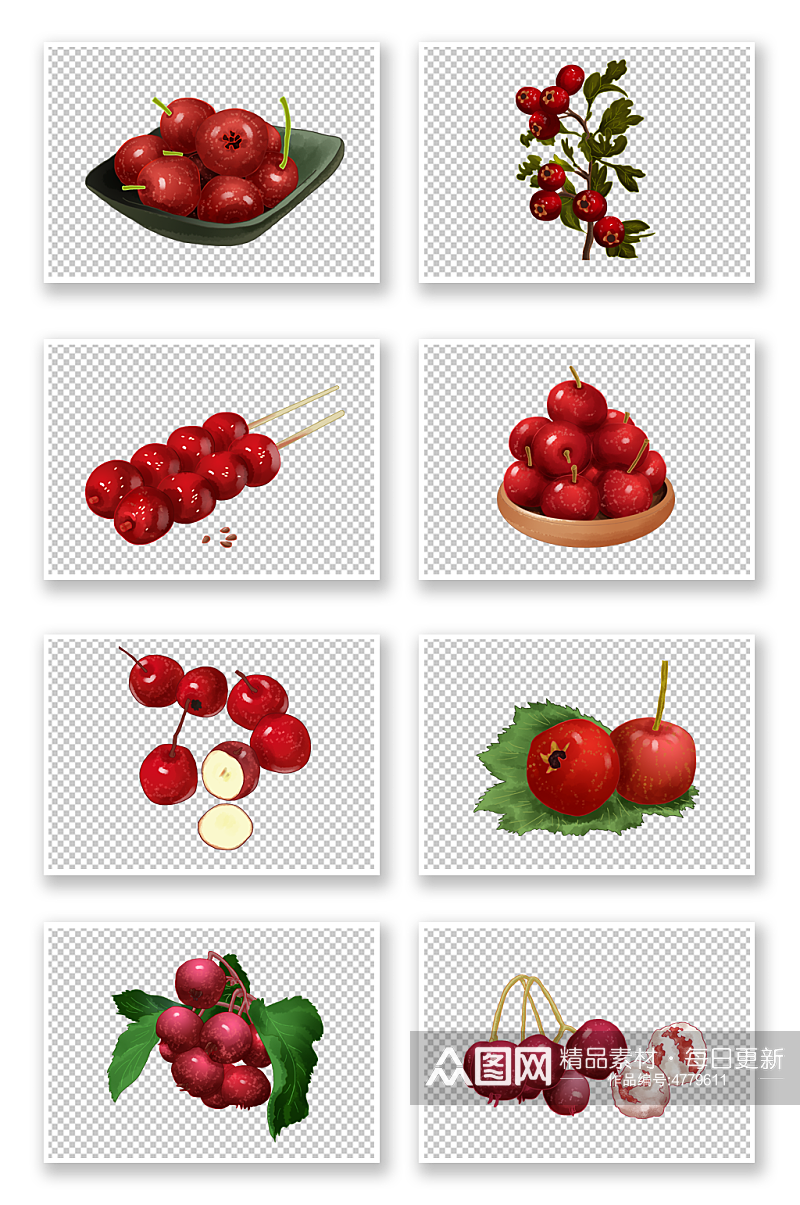 红果酸甜美味山楂冬季水果元素插画素材