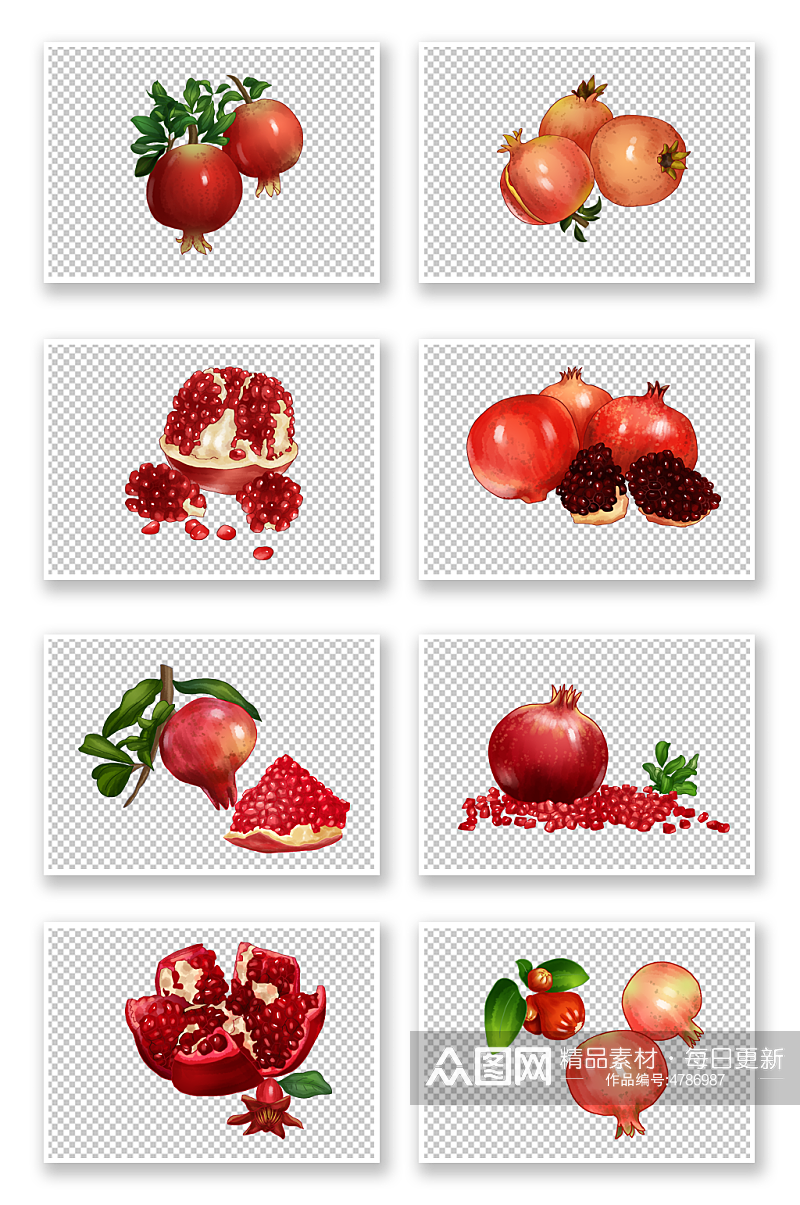 多子寓意红火果实多汁石榴水果元素插画素材