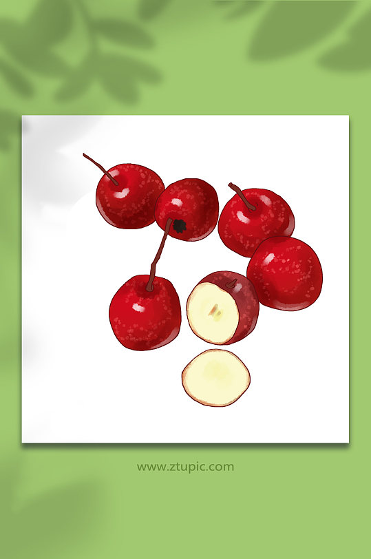 开胃健食红果山楂冬季水果元素插画