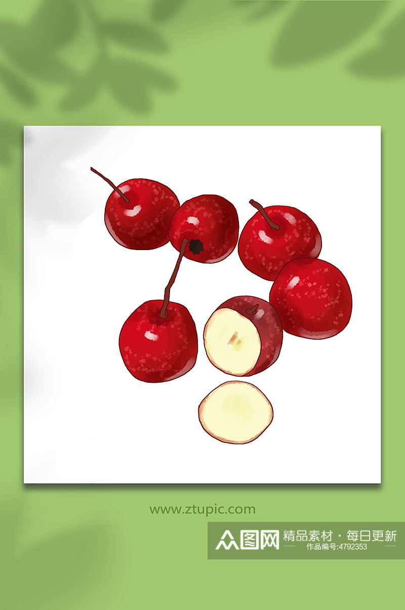 开胃健食红果山楂冬季水果元素插画素材