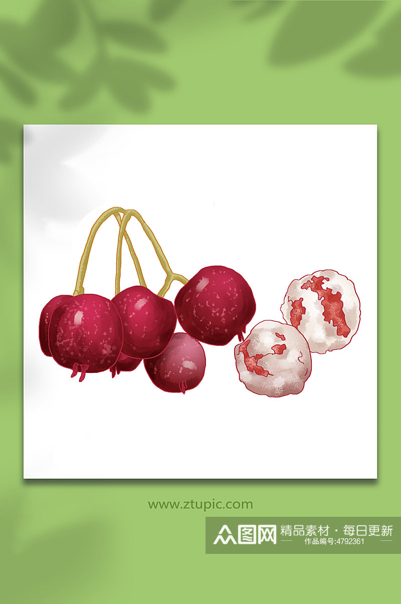 剥皮红果开胃健食山楂冬季水果元素插画素材